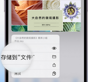 九台apple维修中心分享iPhone文件应用中存储和找到下载文件