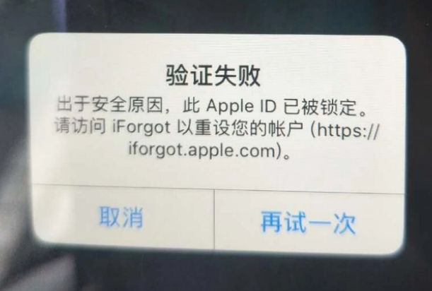 九台iPhone维修分享iPhone上正常登录或使用AppleID怎么办 