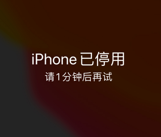 九台苹果手机维修分享:iPhone 显示“不可用”或“已停用”怎么办？还能保留数据吗？ 