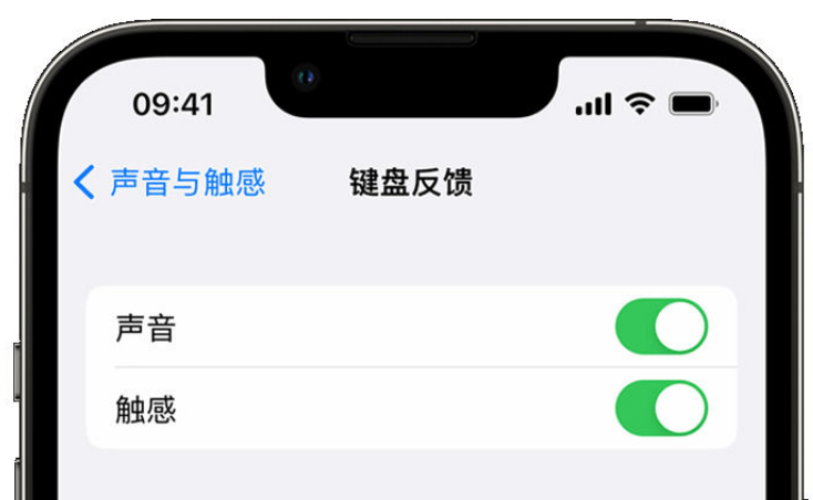 九台苹果手机维修分享iPhone 14触感键盘使用方法 