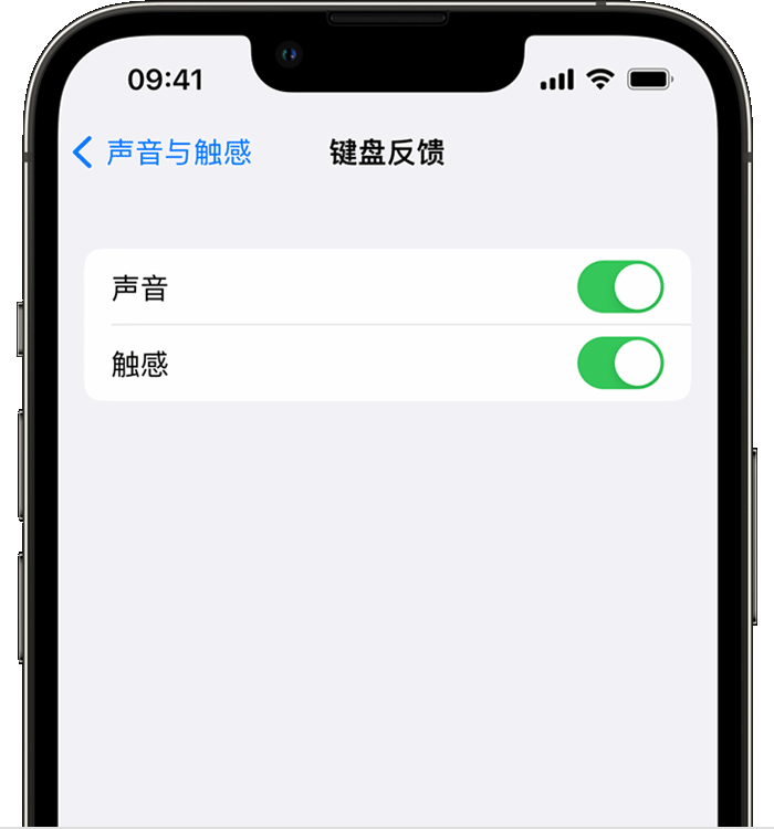 九台苹果14维修店分享如何在 iPhone 14 机型中使用触感键盘 