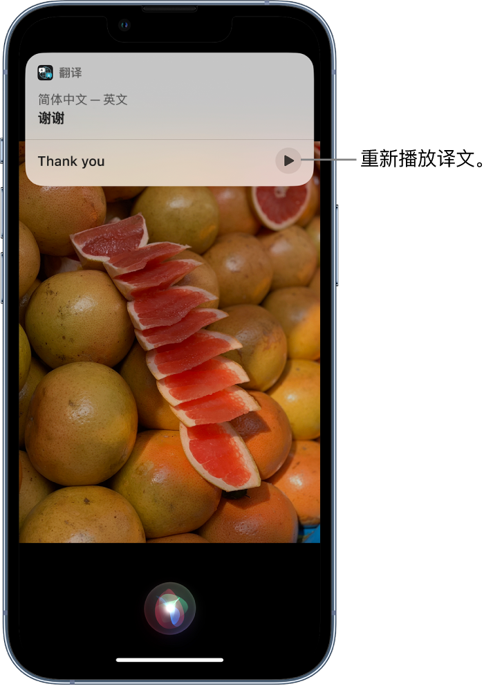 九台苹果14维修分享 iPhone 14 机型中使用 Siri：了解 Siri 能帮你做什么 