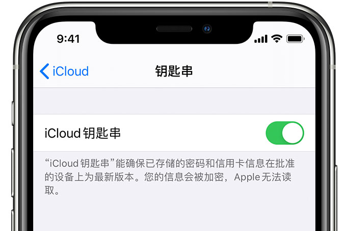 九台苹果手机维修分享在 iPhone 上开启 iCloud 钥匙串之后会储存哪些信息 