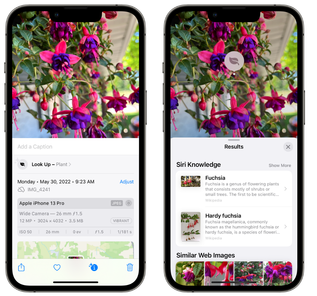 九台苹果手机维修分享小技巧：使用 iPhone 相机识别花卉植物 