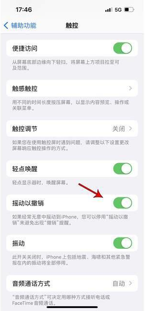 九台苹果手机维修分享iPhone手机如何设置摇一摇删除文字 