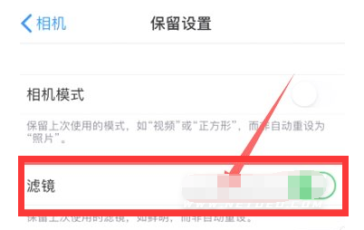 九台苹果13维修分享iPhone13拍照有绿点是怎么回事 