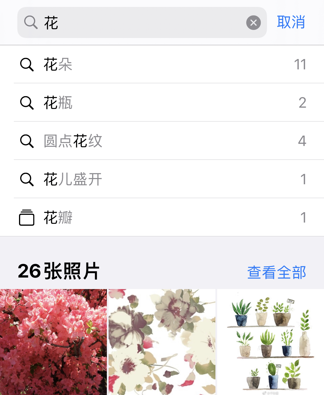 九台苹果手机维修分享iPhone 小技巧 