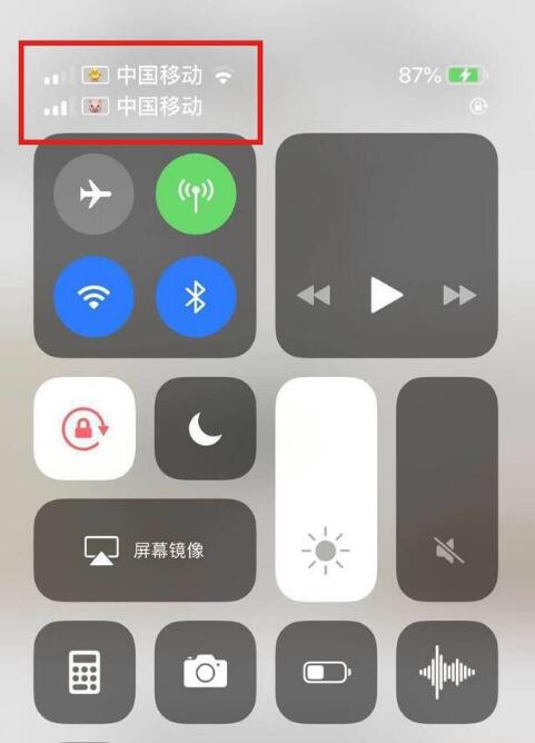 九台苹果手机维修分享为 iPhone 12 双卡设置标签 